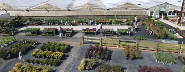 Preview our Beautiful Greenhouses Below!